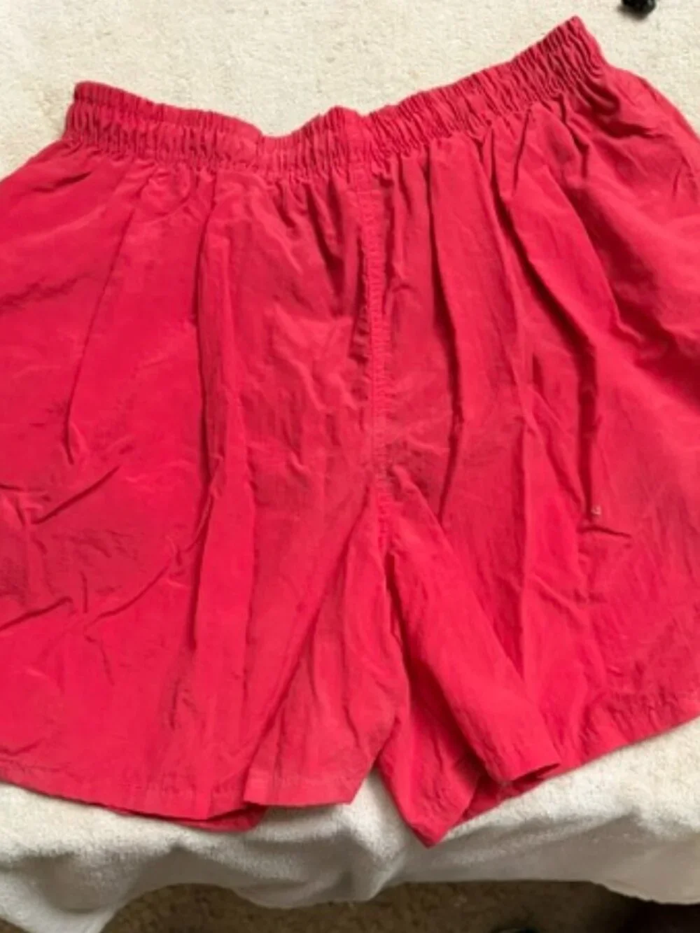 Big Dogs Swim Shorts
